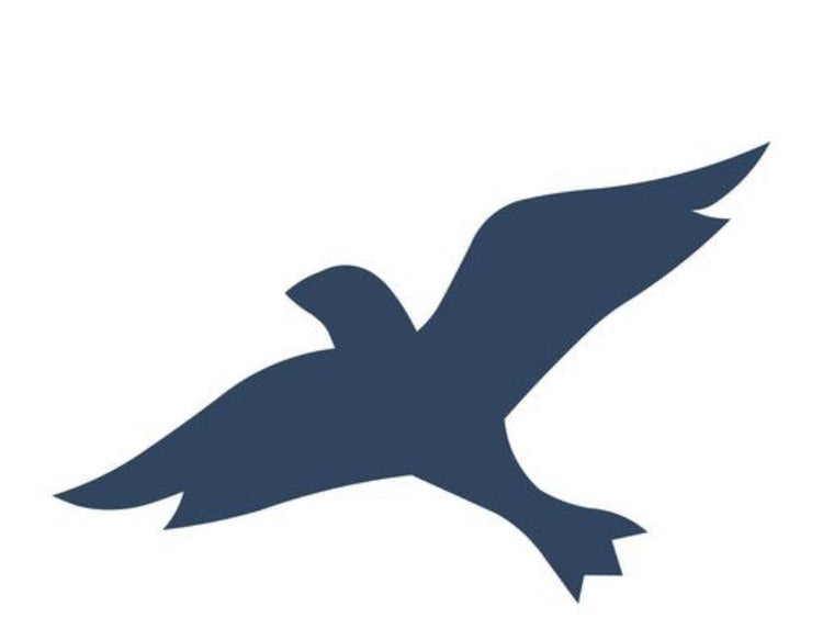 Bird Hollister Logo Discounts Sale